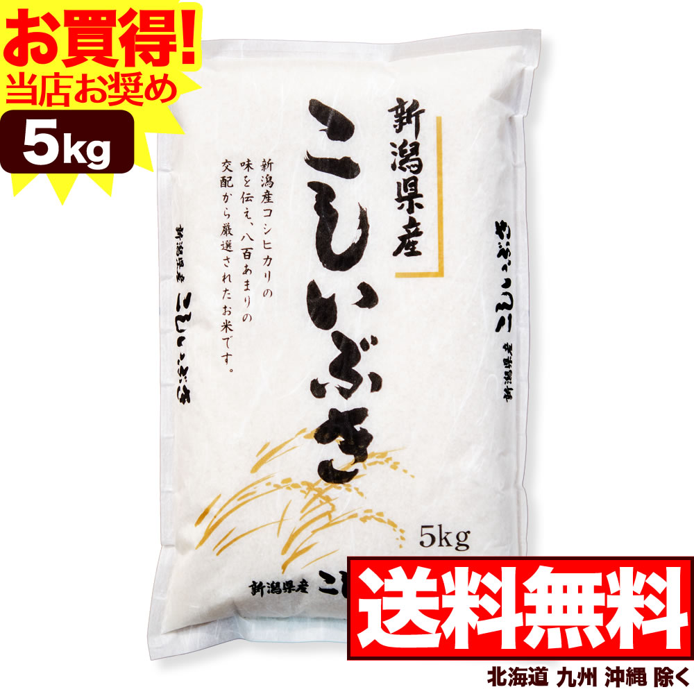 新潟県産 こしいぶき 5kg 令和3年産 米 【送料無料】(北海道、九州、沖縄除く)【当店のお奨め銘柄】