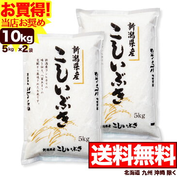 新潟県産 こしいぶき 10kg(5kg×2) 令和3年産 米 【送料無料】(北海道、九州、沖縄除く)【当店のお奨め銘柄】