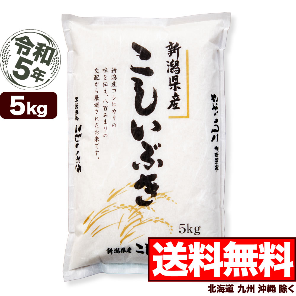 新潟県産 こしいぶき 5kg 令和5年産 