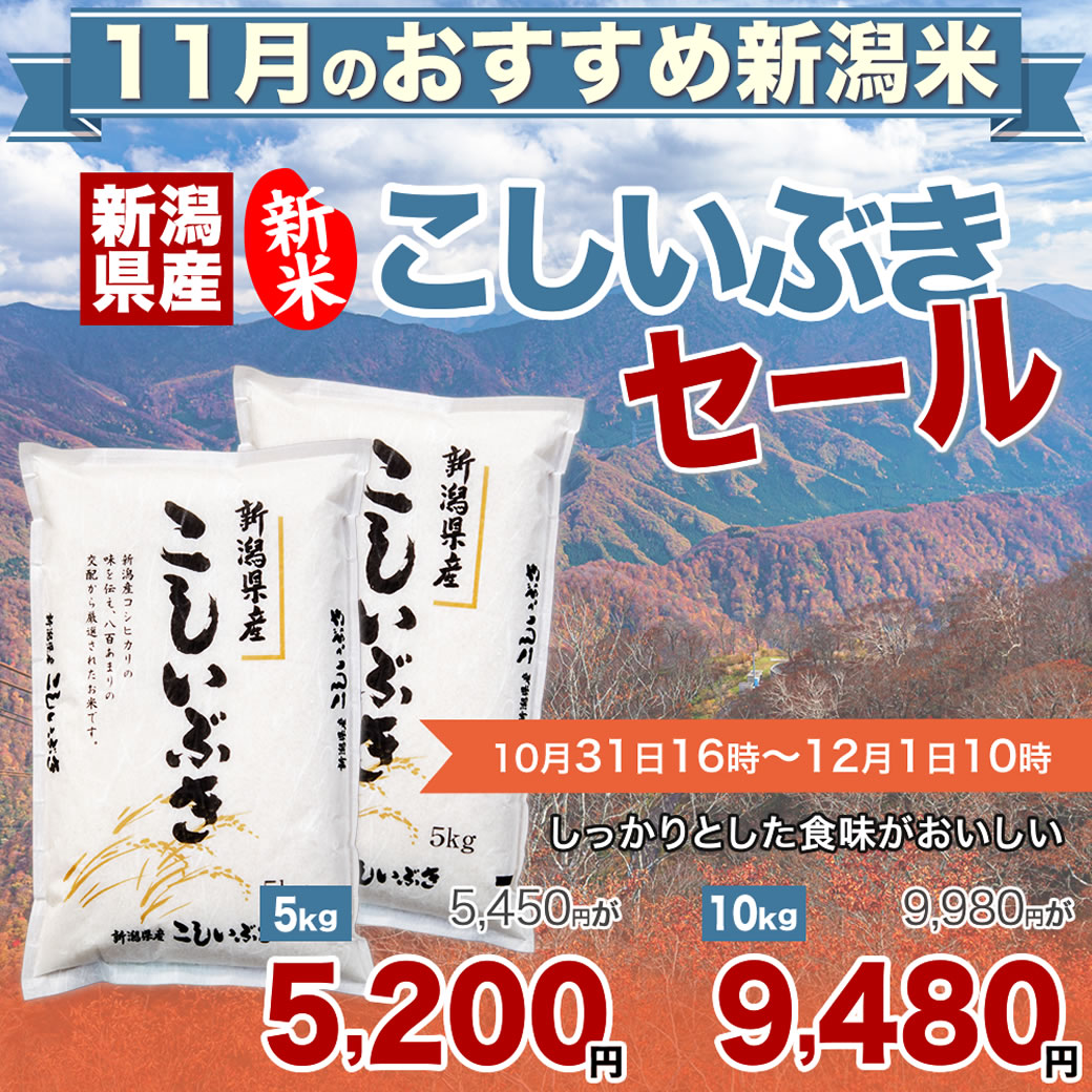 新潟産 こしいぶき 米 10kg 白米 玄米　新米 令和7年産 新潟産 こしいぶき 10kg(5kg×2袋) 米【11月のおすすめ銘柄】