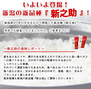 新潟産 新之助 4kg (2kg×2袋 シングルチャック袋) 令和5年産 【送料無料】(北海道、九州、沖縄除く)