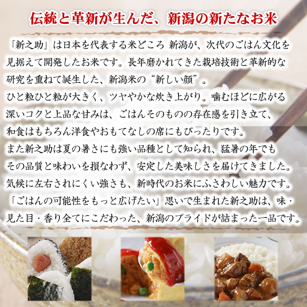 新潟産 新之助 10kg (5kg×2袋 保存チャック袋) 令和6年産