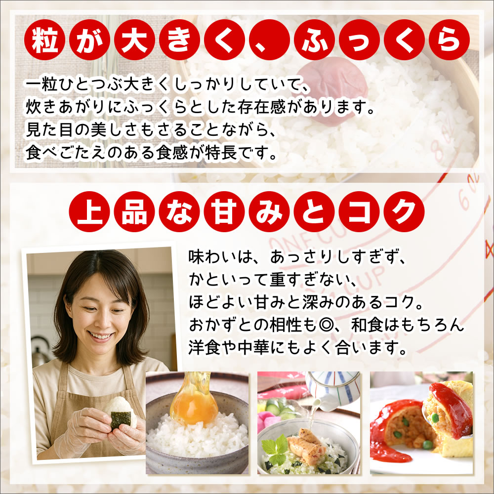 新潟産 新之助 10kg (5kg×2袋 保存チャック袋) 令和6年産