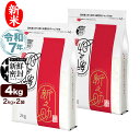 新米 令和7年産 新潟産 新之助 4kg(2kg×2袋) 米 新鮮密封 窒素充填包装 チャック付き保存袋