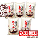 こがねもち米 白米 令和2年産 新潟産 米 25kg 【送料無料】(北海道、九州、沖縄除く)