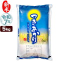 新米 令和7年産 新潟産 つきあかり 5kg 米