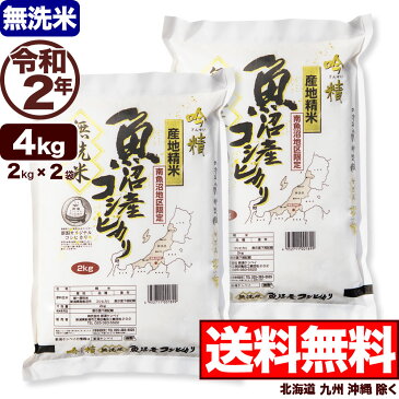 【無洗米】南魚沼産コシヒカリ 吟精 4kg (2kg×2) 令和2年産【送料無料】(北海道、九州、沖縄除く)