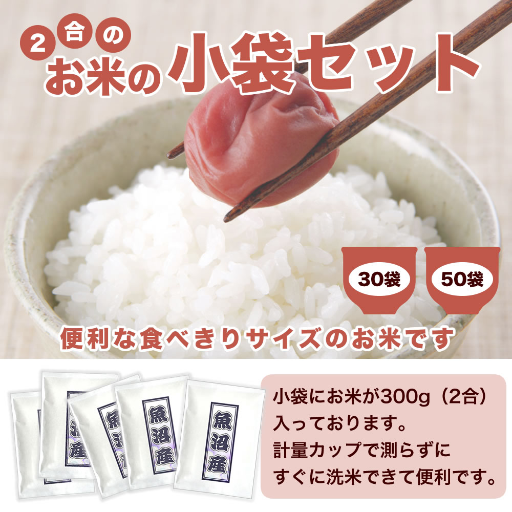 魚沼産 コシヒカリ 令和7年産 300g×30袋セット