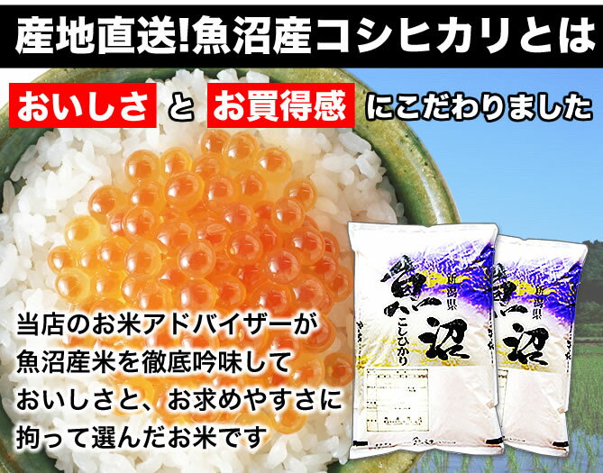 魚沼産コシヒカリ 産直 10kg(5kg×2) 令和3年産 新潟産 米 【送料無料】(北海道、九州、沖縄除く)