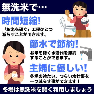 【無洗米】南魚沼産コシヒカリ 吟精 4kg (2kg×2) 令和2年産【送料無料】(北海道、九州、沖縄除く)