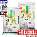 【無洗米】新潟産 こしいぶき 吟精 10kg(5kg×2袋) 令和5年産【送料無料】(北海道、九州、沖縄除く)