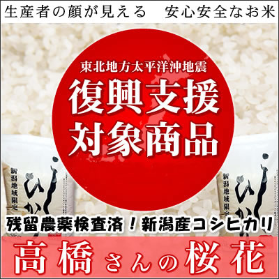 【復興支援対象商品】生産者限定新潟産コシヒカリ【桜花】10kg(5kgx2)高橋直也さんのコシヒカリ白米【21日以降出荷】【楽ギフ_のし宛書】