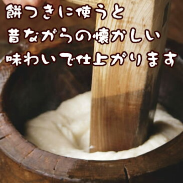 こがねもち米 白米 29年産 新潟産 米 25kg 【送料無料】(沖縄を除く)