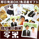 新潟県 魚沼産 コシヒカリ 内祝 御祝 御礼 300g ギフト 29年産我が家の新米 写米魚沼産こしひかりギフト【メール便発送】