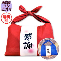 今議商店 お米 出産内祝 魚沼産こしひかり 令和5年産 バンダナ包みプチギフト～我が家の新米～「感謝」お祝いやお礼の贈り物は魚沼産コシヒカリ（300g×2袋入）【8個以上まとめて購入で送料無料(北海道、九州、沖縄除く)】