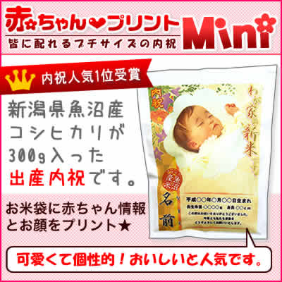 【令和2年産 産魚沼産コシヒカリ】 抱っこできる赤ちゃんプリントmini_300g【8個以上送料無料】(北海道、九州、沖縄除く)