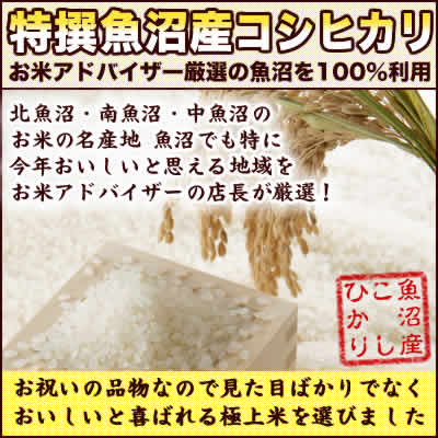 新潟県 魚沼産 コシヒカリ 内祝 御祝 御礼 300g ギフト 30年産 我が家の新米 写米 魚沼産こしひかりギフト【メール便発送】