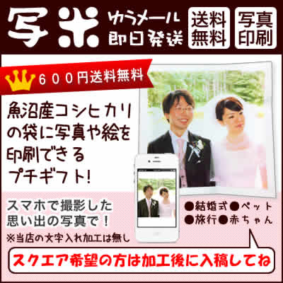 新潟県 魚沼産 コシヒカリ 内祝 御祝 御礼 300g ギフト 30年産 我が家の新米 写米 魚沼産こしひかりギフト【メール便発送】