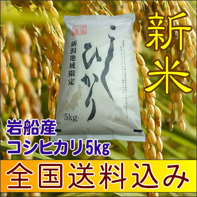 送料込み/代引手数料無料！産地直送【新米】18年新潟産コシヒカリ5kg 白米 送料込み 岩船産