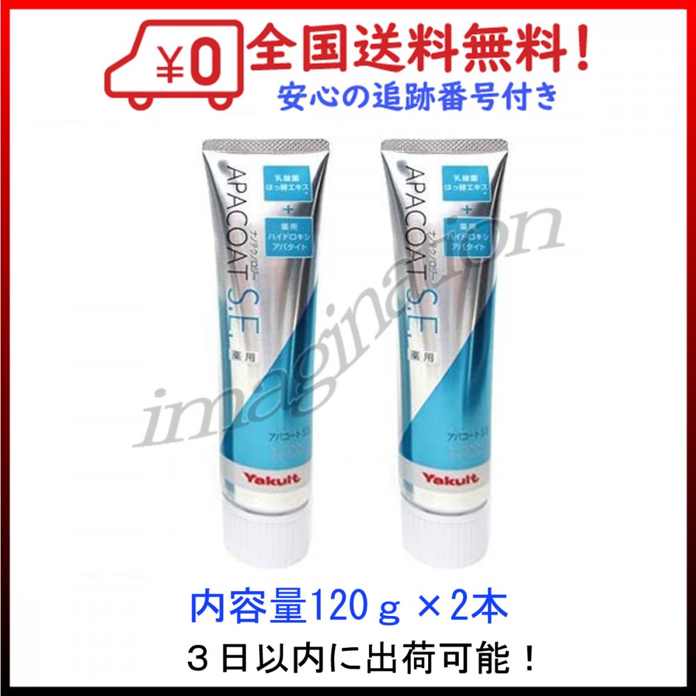 2本セット ヤクルト 薬用アパコートS.E. ナノテクノロジー 120g 歯磨き粉 箱無し 送料無料