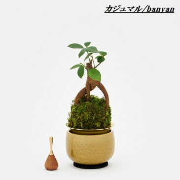 山口久乗 苔玉(こけだま)りん 小【送料無料(沖縄・離島を除く)】【お取り寄せ商品】【仏具・リン・ベル・呼鈴・チャイム・苔玉・こけだま】
