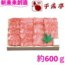【千成亭】近江牛 上カルビ焼肉 (約600g) 贅沢 肉質 旨味 家族団らん バーベキュー お祝い プレゼント 内祝い お返し 記念品 景品 自宅用【メーカー直...