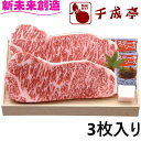 【千成亭】近江牛 サーロインステーキ 3枚 贅沢 肉質 旨味 家族団らん バーベキュー お祝い プレゼント 内祝い お返し 記念品 景品 自宅用【メーカー直送】...