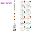 p-sc-b-brilliance@BRILLIANCE@uAX@TLb`[yNX^KX/̎zy񂹏iz