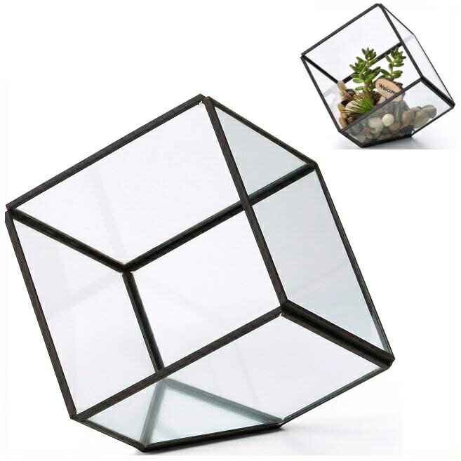 エイチツーオー　HT6215　ジオメティックガラス　キューブL【メーカー直送】【代引き/同梱不可】【鉢植え、プランター、ポット、観葉植物】