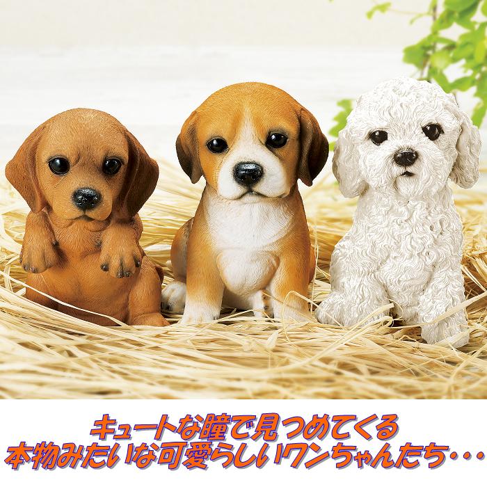 �������ġ�������H9684���ɥå��ϥ������եȡ����եȥܥå��������Ƹ���H-9684�ڥ᡼����ľ���ۡ������/Ʊ���Բġۡڥ����ǥ���ʪ/����ƥꥢ��ʪ/�����ʪ��