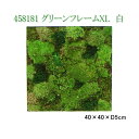 【送料無料(北海道・沖縄・離島を除く)】花なもの　458181　プリザーブドグリーン　グリーンフレームXL 正方形　白【お取寄せ品】【プリザーブド，母の日ギフト，花，フラワー】