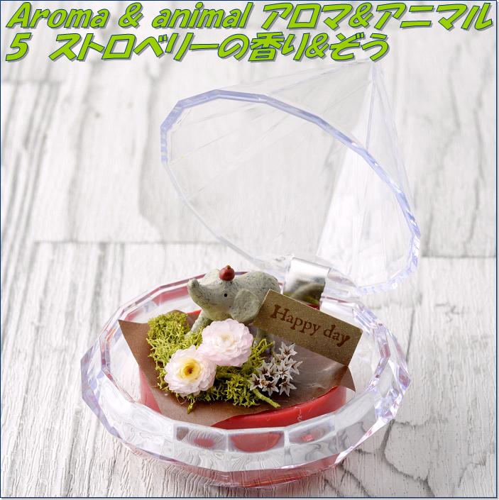 ���ȥꥨ����Ρ�456625���ץꥶ���֥ɥե���������&���˥ޥ롡2�ĥ��åȡ����ȥ��٥꡼�ι��&�����ڤ�����ʡۡڥץꥶ���֥ɡ���������եȡ��֡��ե��...