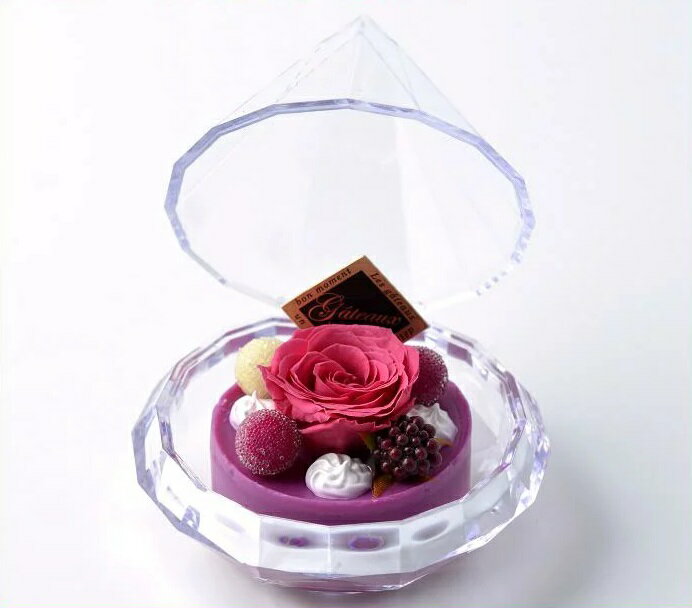 ���ȥꥨ����Ρ�456011���ץꥶ���֥ɥե���������&�ե�2�ĥ��åȡ��������ι��&�ԥ󥯡ڤ�����ʡۡ������ �ץ쥼��� ���ե� �� �ץꥶ���֥�...