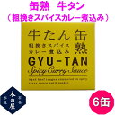 【数量限定】お歳暮 ギフト 木の屋石巻水産 牛タン 粗挽きスパイスカレーソース煮込み 缶詰 170g×6缶セット【メーカー直送】【同梱/代引き不可】【牛タン 缶...