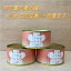 木の屋石巻水産 小女子佃煮 一味唐辛子 90g×12缶セット販売【メーカー直送品】【同梱/代引不可】