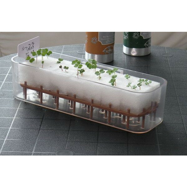 ��ӥ󥰥ե����ࡡLEF-055����̰��ĥ��å�F�ڥ᡼����ľ���ۡ������/Ʊ�����Բġۡں��ݥ��å�/��̺���/���ݥ��å�/LivingFarm��