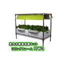 【送料無料(沖縄・離島を除く)】リビングファーム LF-RWL3 室内水耕栽培器キット リビングファームRW3【メーカー直送】【代引き/同梱包不可】【栽培キット...
