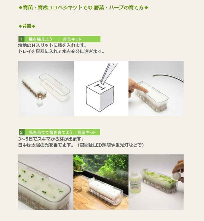 リビングファーム　LFS-027　ココベジキットシリーズ　パクチーの種子付き　水耕栽...