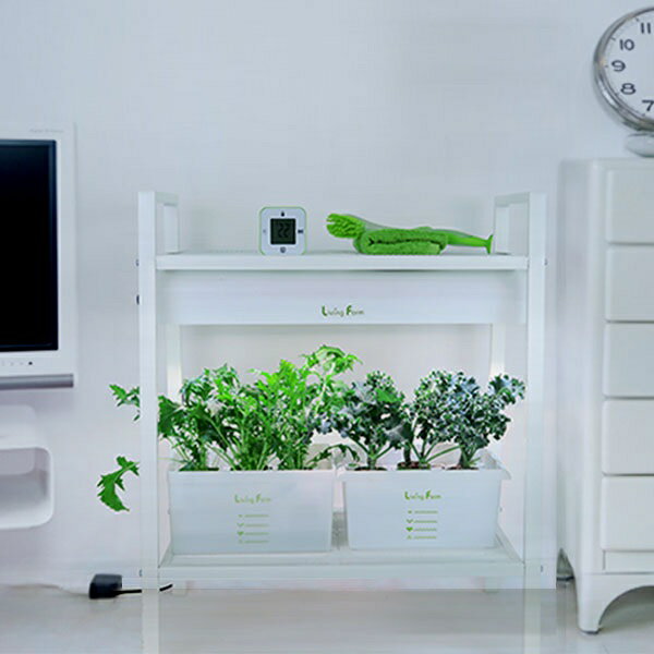 【送料無料（沖縄・離島を除く）】家庭栽培 自由研究 IKEA イケアで水耕栽培 M-2 ...