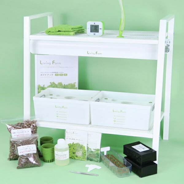 ������̵���ʲ��졦Υ�������ˡ۲������� ��ͳ���� IKEA �������ǿ�̺��� M-2 ��ӥ󥰥ե����� LF-IK��CVM2�ڥ᡼����ľ���ۡ������/Ʊ�����Բġۡں��ݥ��å�/��̺���/���ݥ��å�/LivingFarm��