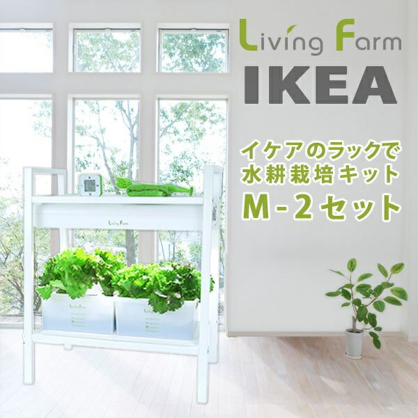 yiEjzƒ͔| R IKEA CPAŐk͔| M-2 rOt@[ LF-IKCVM2y[J[zy/szy͔|Lbg/k͔|/͔|Zbg/LivingFarmz