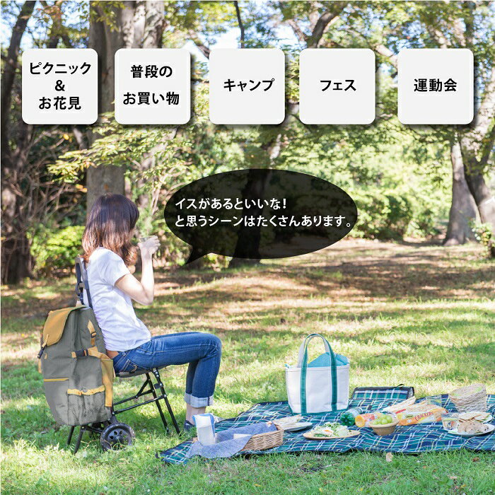 カート 座れる お買い物バッグ 保冷 保温 台車 キャスター 438961 ココロ イス付きショッピングカート モリー グレー【メーカー直送品】【同梱/代引不可】【ショッピングバッグ おしゃれ 災害 緊急 母の日 高齢 プレゼント おすすめ】 imaginelife-10053820 カッパ、カー用品の新未来創造 サンプル画像3