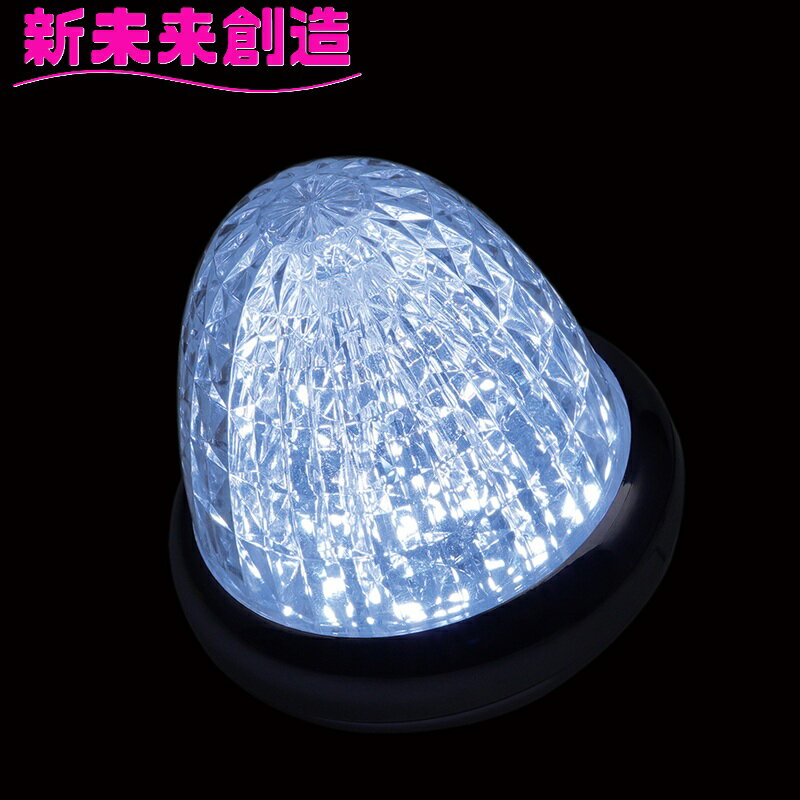 Rakuten - トラック用品 マーカーランプ デコレーション LED 槌屋ヤック CE-517 牙龍マーカー 12/24V ホワイト 白【お取り寄せ商品】【トラック用品/マーカーランプ デコトラ おすすめ かっこいい】