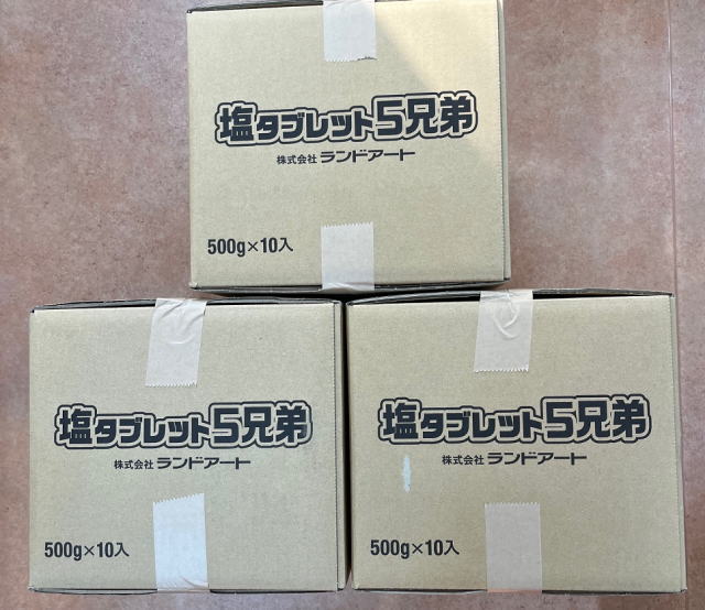 ランドアート 塩タブレット 5兄弟 185粒入×30袋(3ケース) 5550粒 2024年入荷分 [送料無料][代引手数料無料]