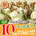 【送料無料】淡路島新玉ねぎ 3キロ［Sサイズ〜2Lサイズお任せ］＃訳ありたまねぎ3kg【購入特典】＃