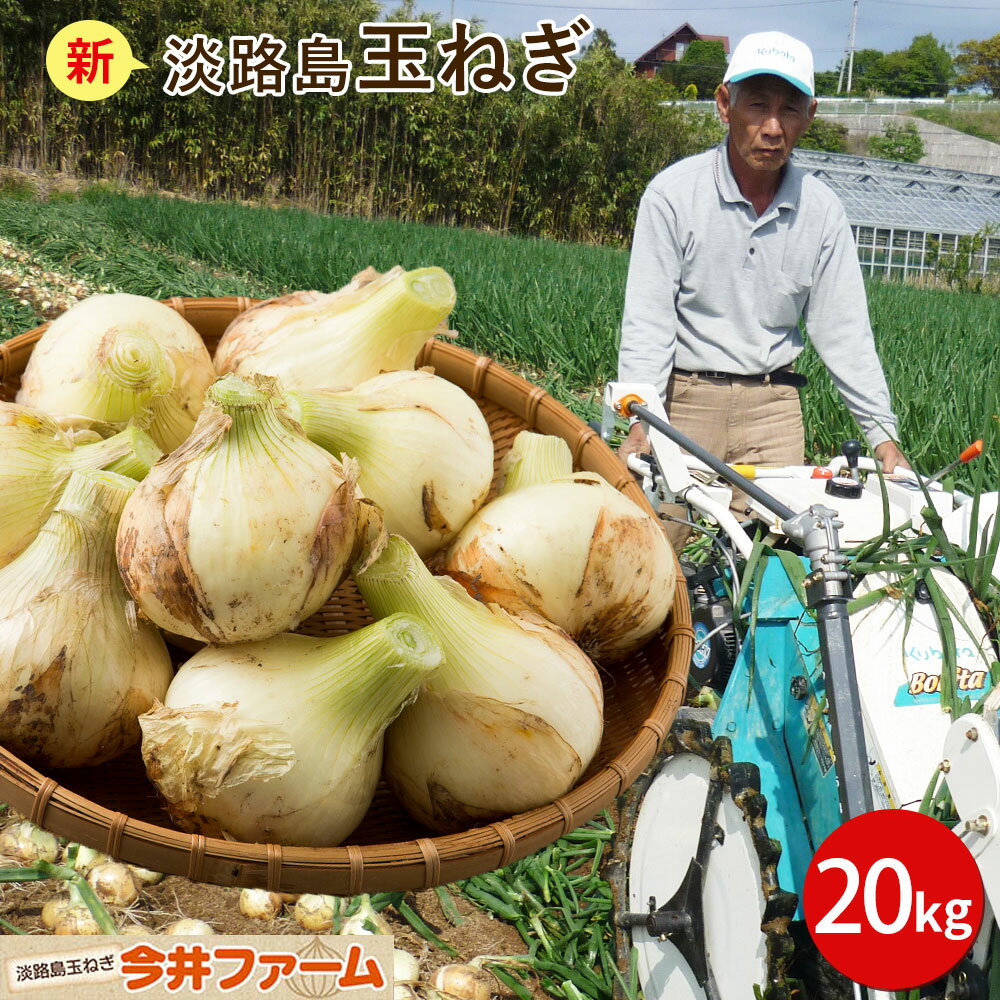 【期間限定10％OFF】 【送料無料】 ＃淡路島たまねぎ20K＃ 淡路島 玉ねぎ 玉葱 たまねぎ タマネギ 新たまねぎ 新玉葱 新玉ねぎ 新玉