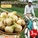 淡路島たまねぎかくし玉 大玉サイズ 3kg＃かくし玉3kg大玉＃ 淡路島 玉ねぎ たまねぎ 玉葱 新たまねぎ 新玉葱 新玉ね…