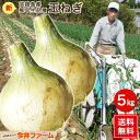 淡路島産 【極早生品種】【送料無料】＃極早生淡路玉ねぎ5k＃たまねぎ 玉ねぎ 新たまねぎ 新玉葱 新玉ねぎ 新玉