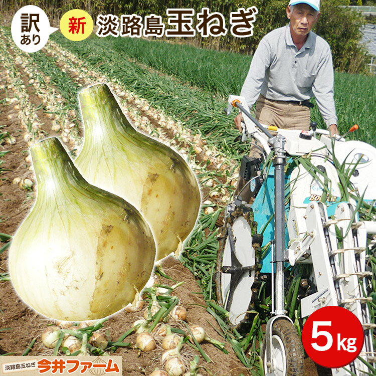 【送料無料】【訳あり】淡路島新たまねぎ5キロ 【タマネギ】たまねぎ＃訳あり淡路玉ねぎ5K＃ 「淡路島..