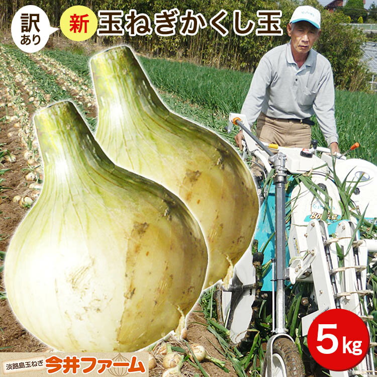 淡路島新たまねぎかくし玉【訳あり】5kg ＃かくし玉訳あり5K＃たまねぎ